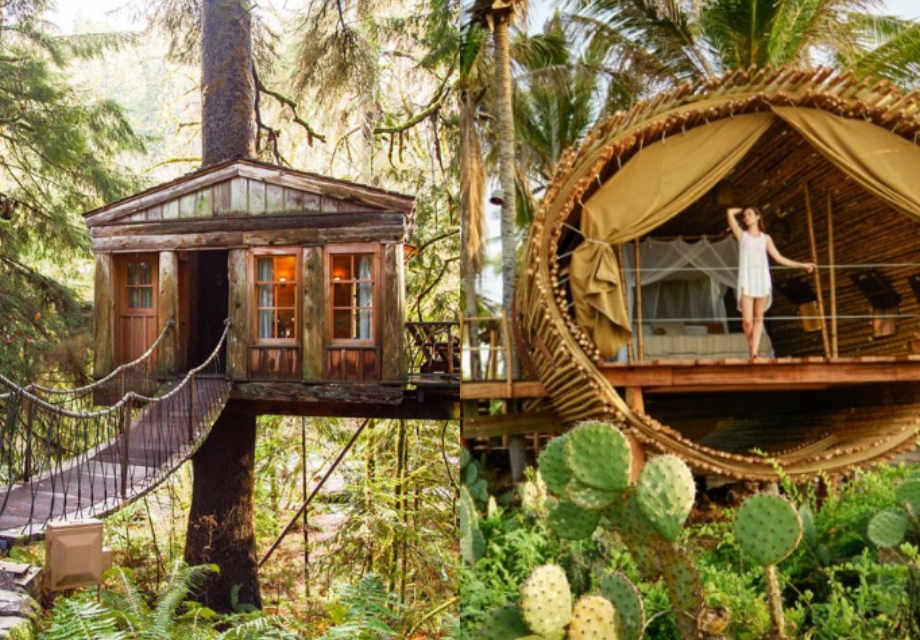 Best of Kerala with Treehouse Stay